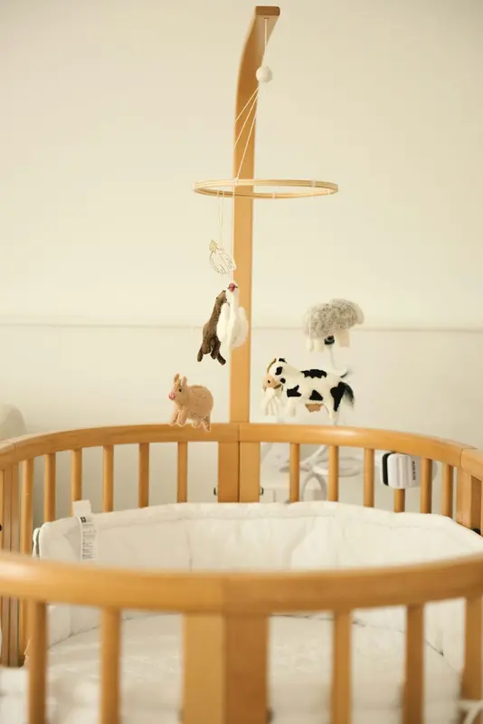 Wool.Baby Premium Domain